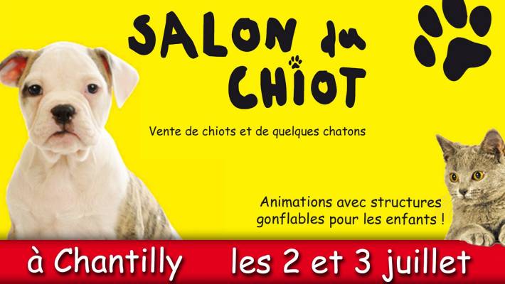 Le salon du chiot à Chantilly - Blog Canin Le salon du chiot à Chantilly - Blog Canin