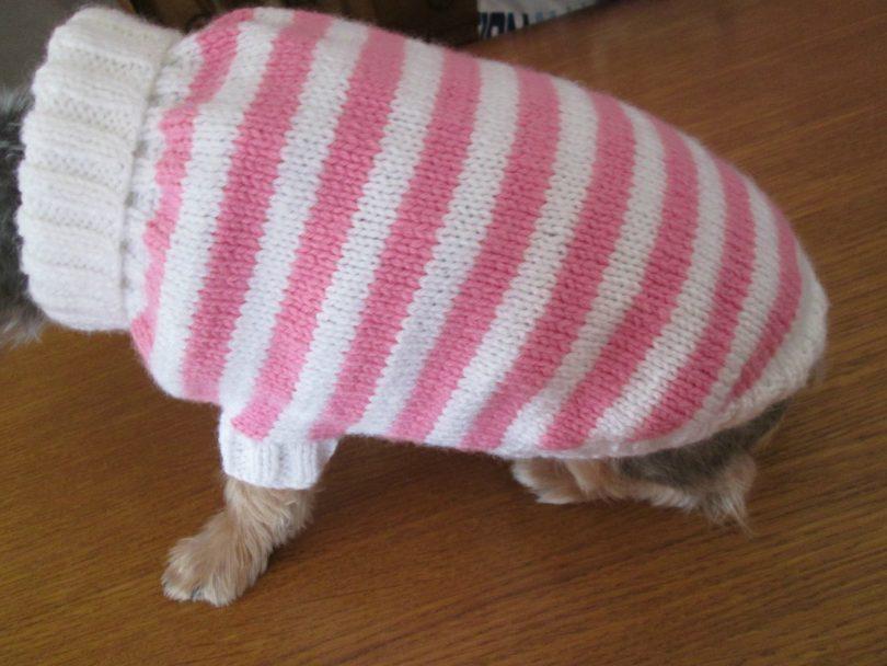 manteau-chien-en-laine-rose-et-blanc