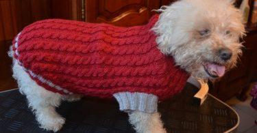 manteau-chien-en-laine-rouge