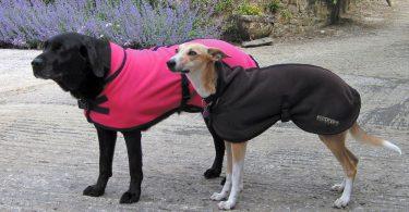 manteau pour chien