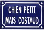 laisser son chien seul