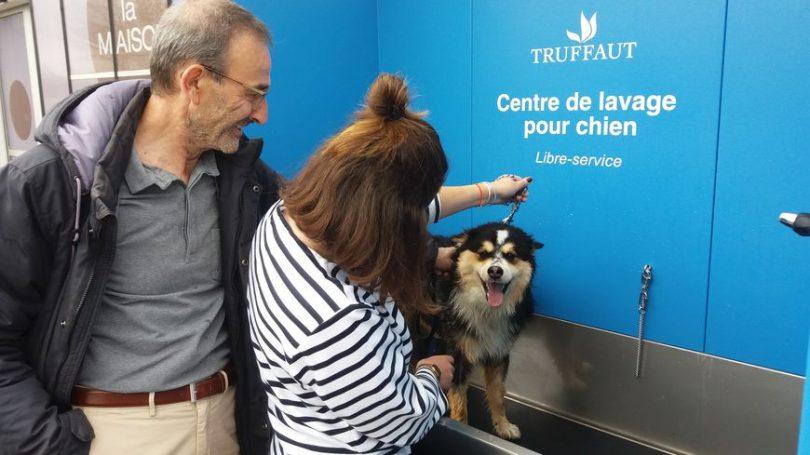 station de toilettage canin