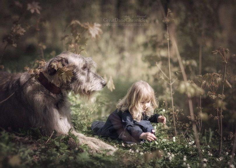andy seliverstoff little kids and their big dogs 07
