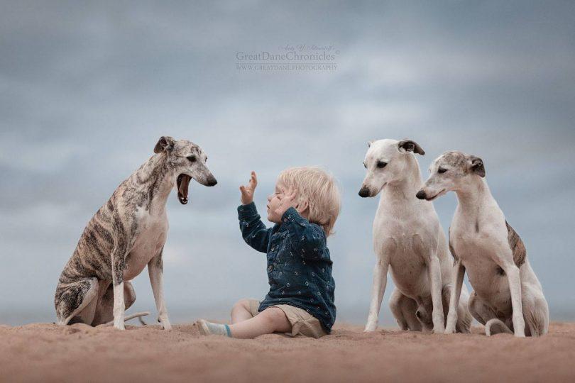 andy seliverstoff little kids and their big dogs 13