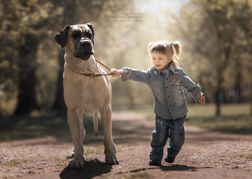 andy seliverstoff little kids and their big dogs 17
