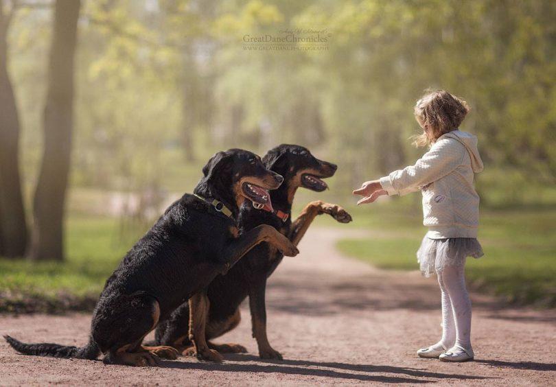 andy seliverstoff little kids and their big dogs 20