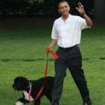 barack obama y su perro