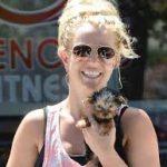 britney spears et son chien