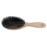 brosse en poils de sanglier pour chien