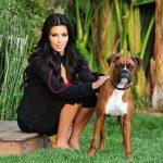 kim kardashian et son chien