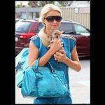 paris hilton et son chien