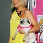 tori spelling et son chien