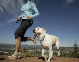 faire du sport avec son chien