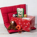 Box de Noël pour chien