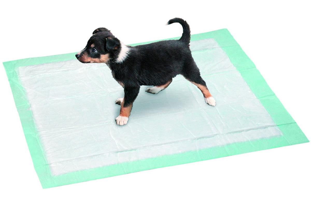 tapis de propreté pour chien