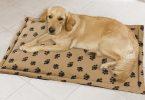 tapis pour chien