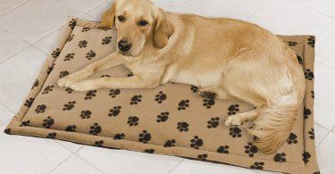 tapis pour chien