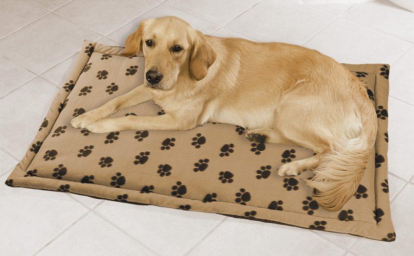 tapis pour chien