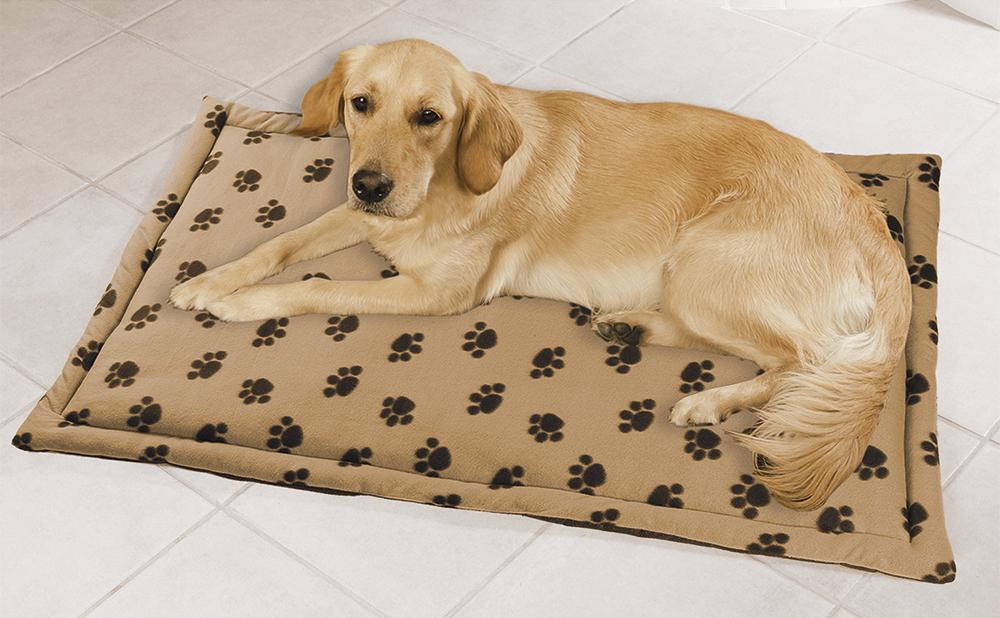 Tapis pour chien différents types d'accessoires à connaître... — free download