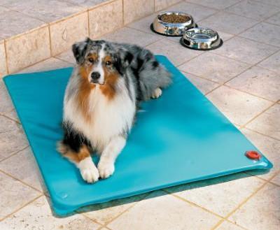 tapis rafraichissant pour chien