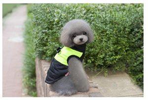 manteau pour petit chien bande fluorescente