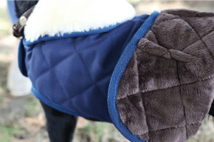 manteau pour petit chien haut de gamme