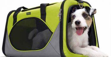 sac de transport pour chien