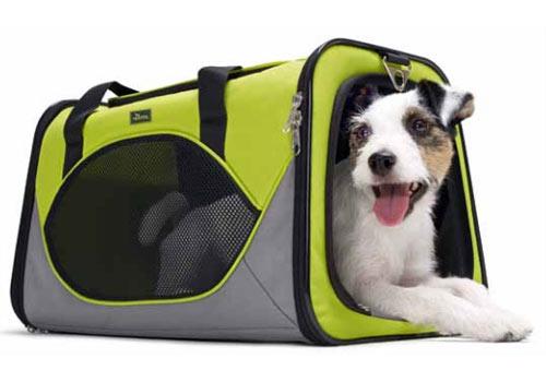 Comment choisir son sac à dos pour transporter un chien