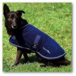 manteau pour chien