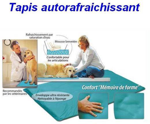 tapis réfrigérant pour chien