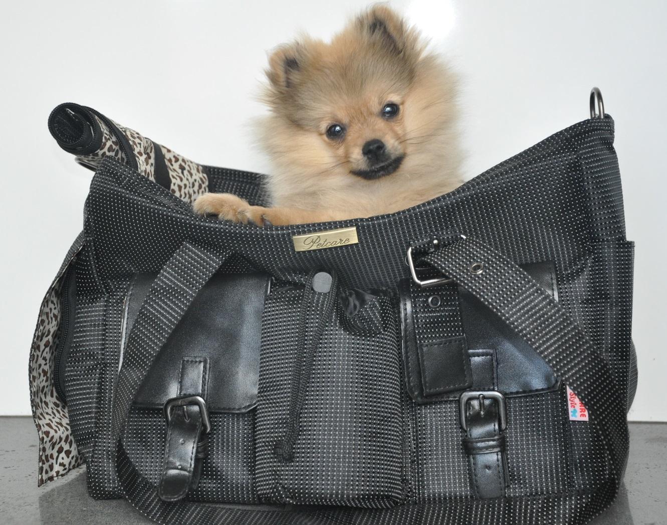 Sac moto pour transport chien