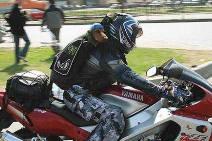 Sac moto pour transport chien