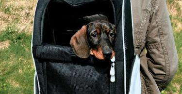 sac à dos pour transporter un chien