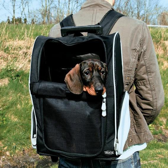 sac à dos pour transporter un chien