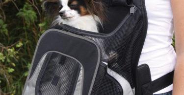 sac à dos ventral pour transport de chien