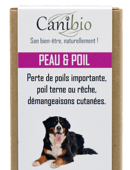 Canibio peau et poils