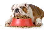 Croquettes sans céréales pour chien