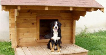 isoler niche pour chien