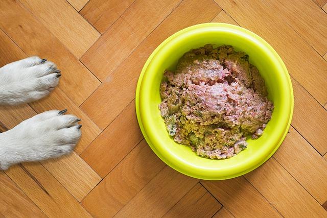 alimentation humide pour chien