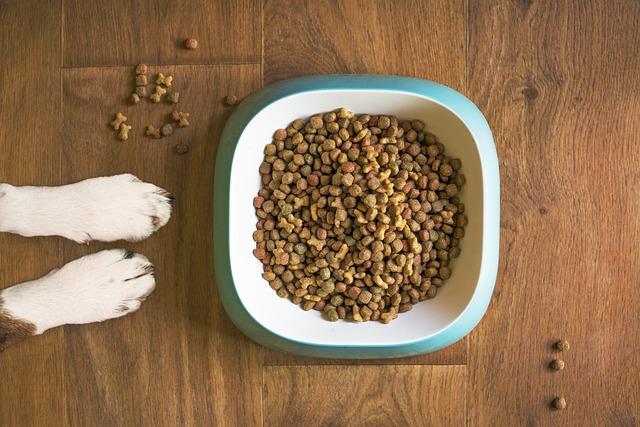 Croquettes pour chien