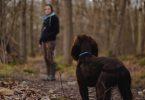 Chien qui ne veut pas avancer en promenade