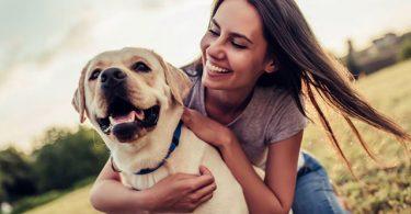 santé chien solutions naturelles