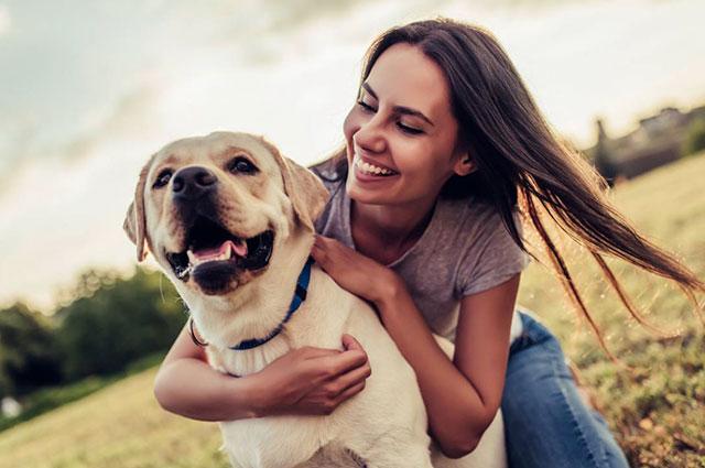 santé chien solutions naturelles