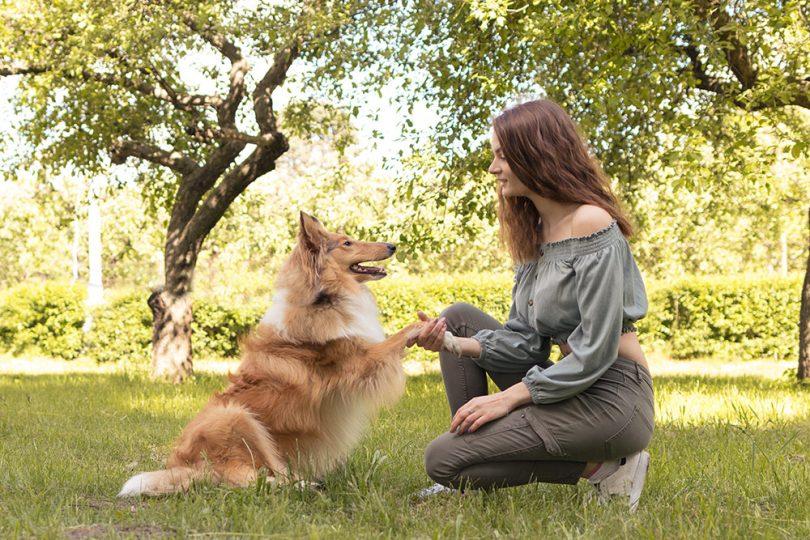 Construire un lien avec son chien