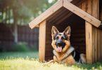 Quel endroit choisir pour placer la niche de son chien ?