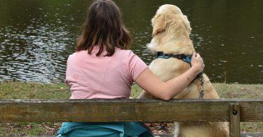 Les races de chiens les plus gentils