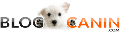 Blog Canin