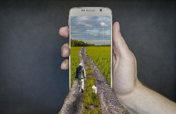 L'intelligence artificielle au service des chiens