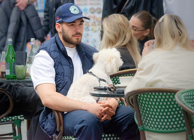 Limites de l'intelligence artificielle et la relation homme-chien