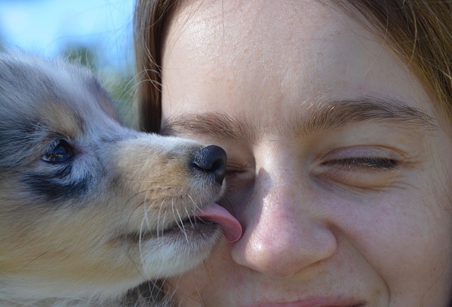empathie chez le chien